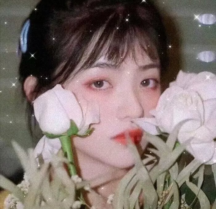 火爆群龙3